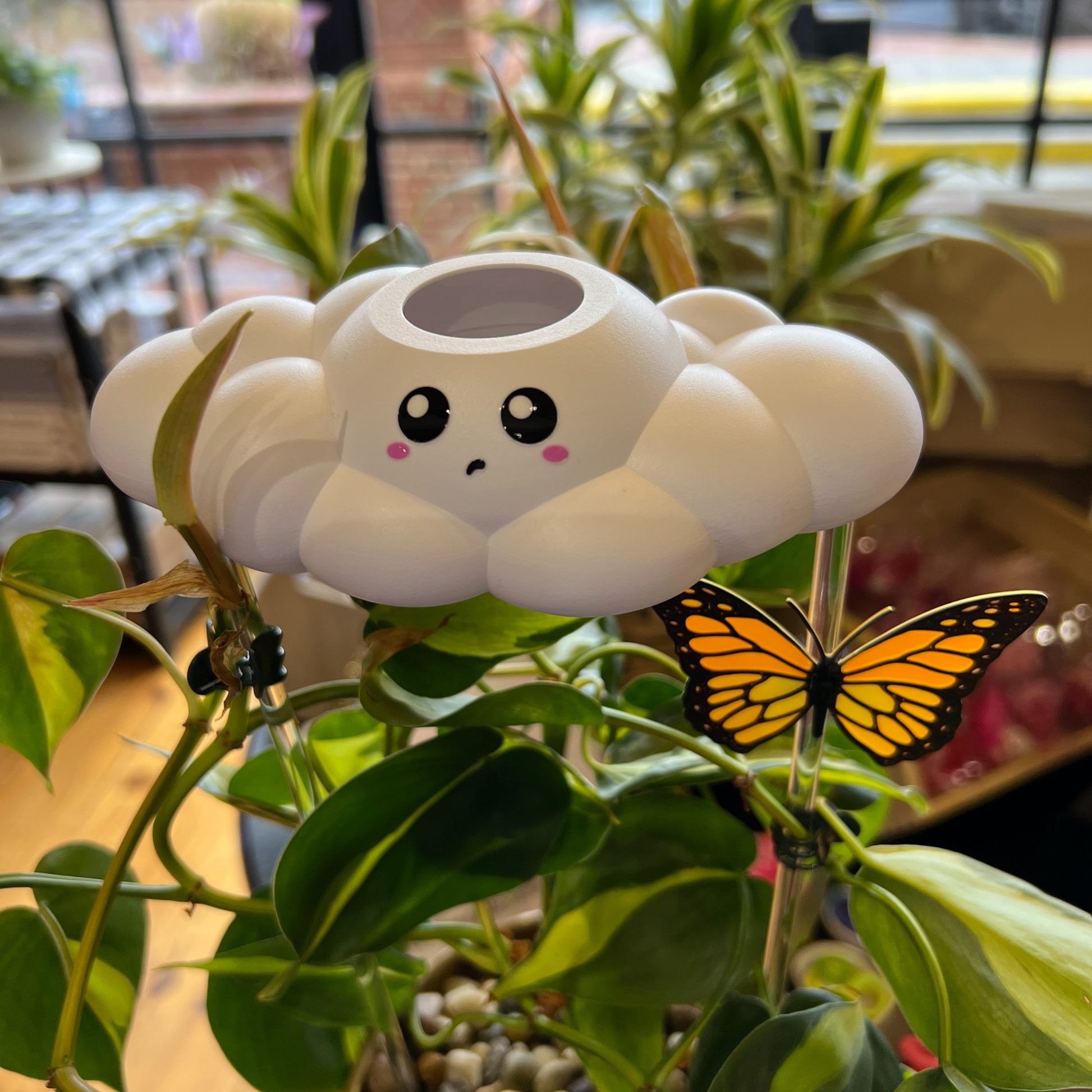 Colby The Cloud with butterfly