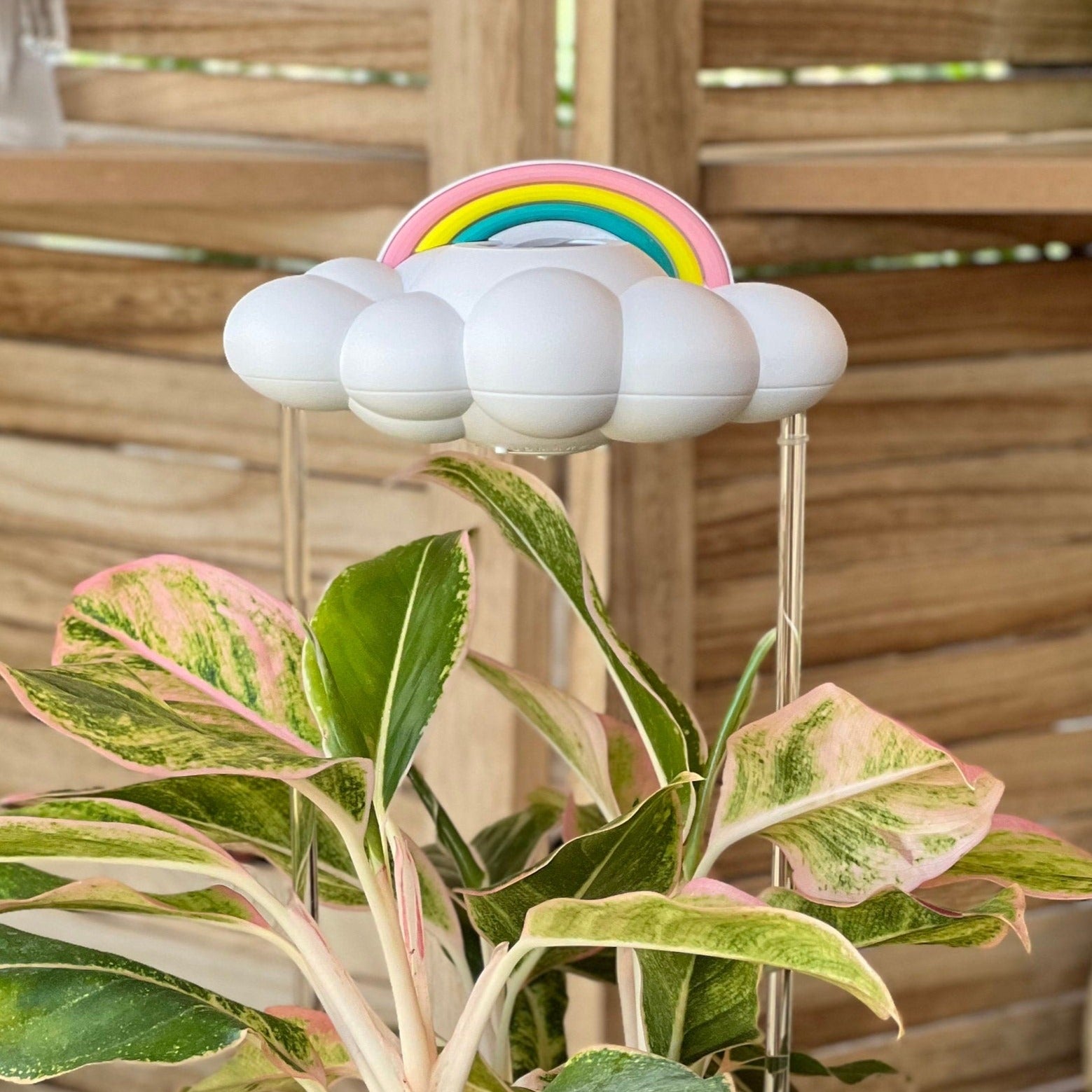 Original Dripping Rain Cloud with Pastel Rainbow Charm