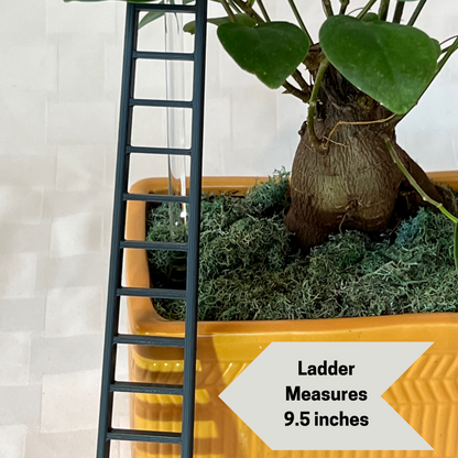 Ladder charm measurements