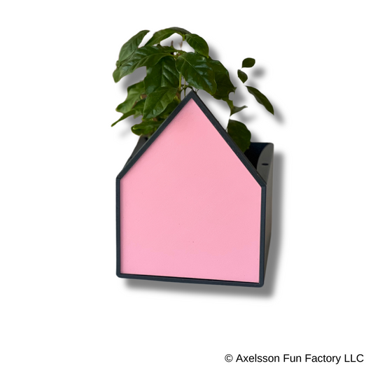 Pink House Planter for Rain Cloud