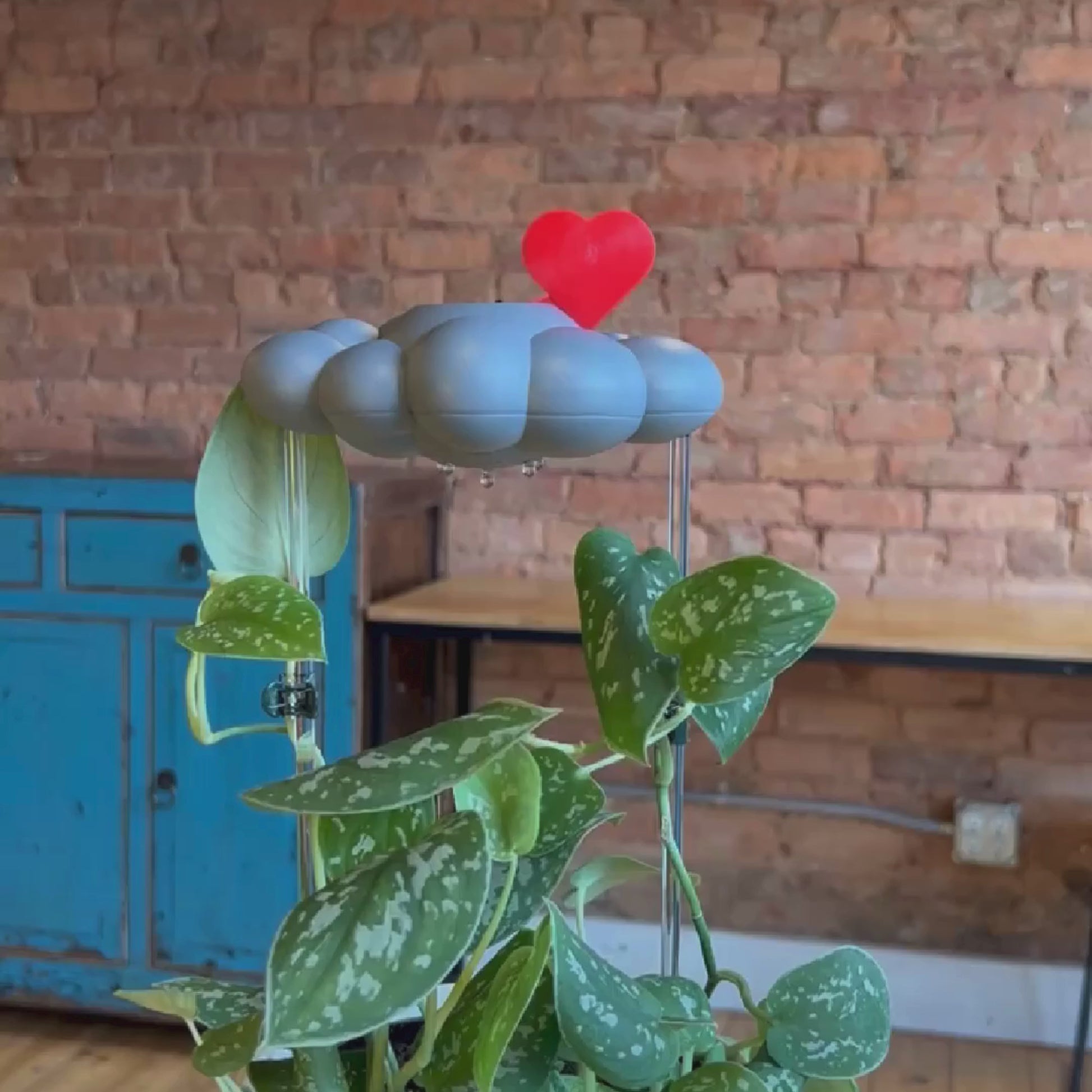 THE CLOUD MAKERS Stormy dripping raincloud for plants with red heart charm