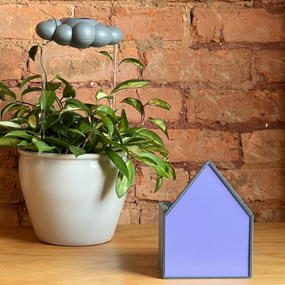 Purple House Planter