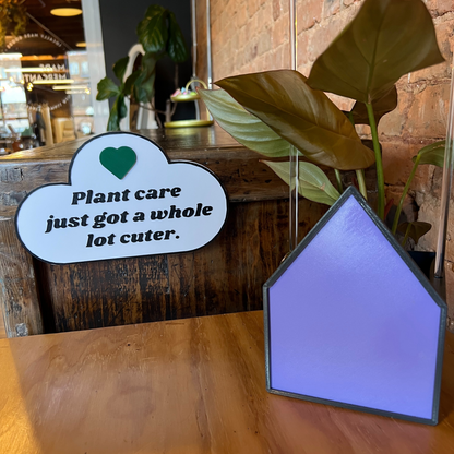 Purple House Planter