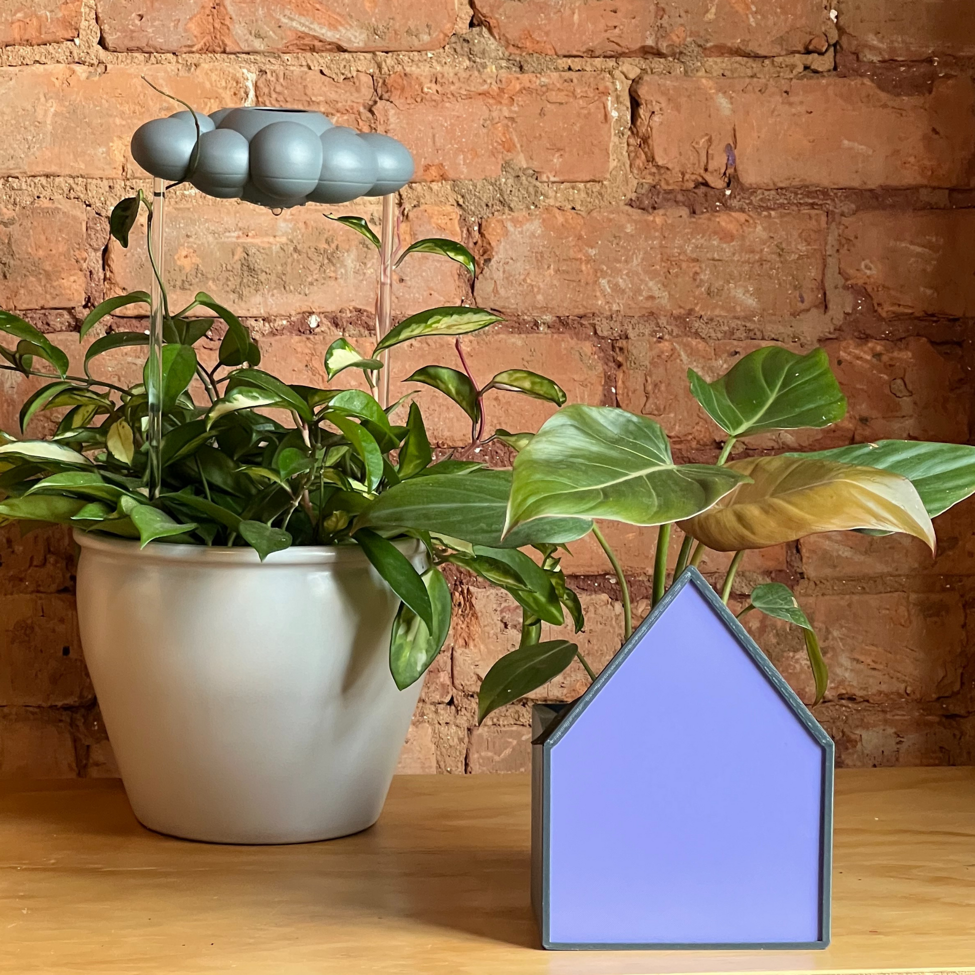 Purple House Planter