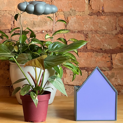 Purple House Planter
