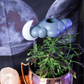 Stormy Dripping Rain cloud with glow in the dark moon charm