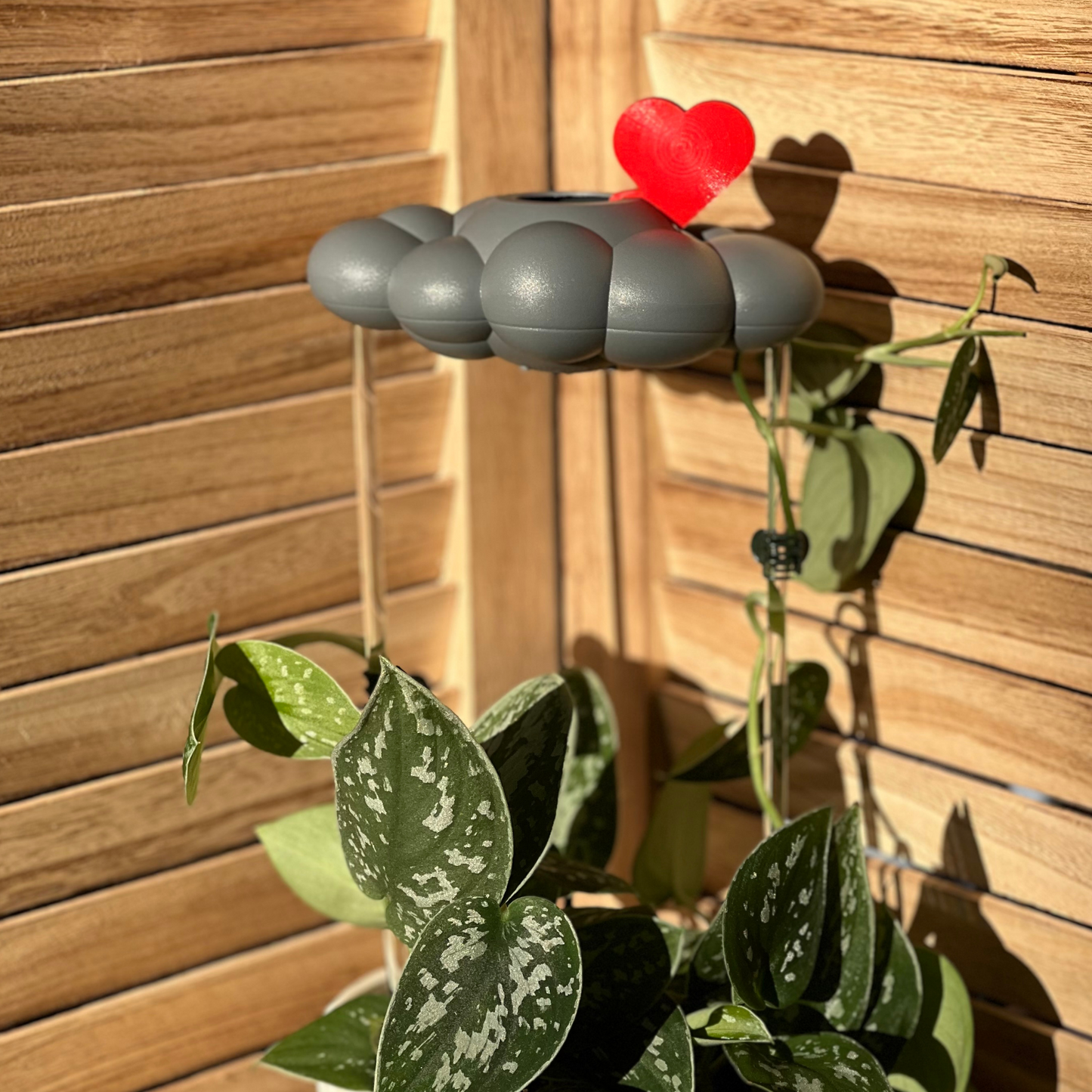 THE CLOUD MAKERS Stormy dripping raincloud for plants with red heart charm