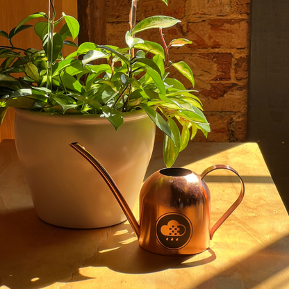 Cloud Makers Copper Watering Can