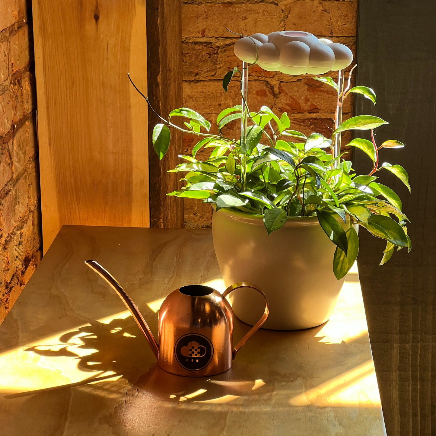 Cloud Makers Copper Watering Can