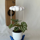 Blue Stand for THE CLOUD MAKERS brand dripping rain cloud