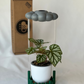 Green Stand for THE CLOUD MAKERS dripping rain cloud
