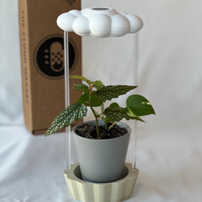 Original Dripping rain cloud by THE CLOUD MAKERS with Stand
