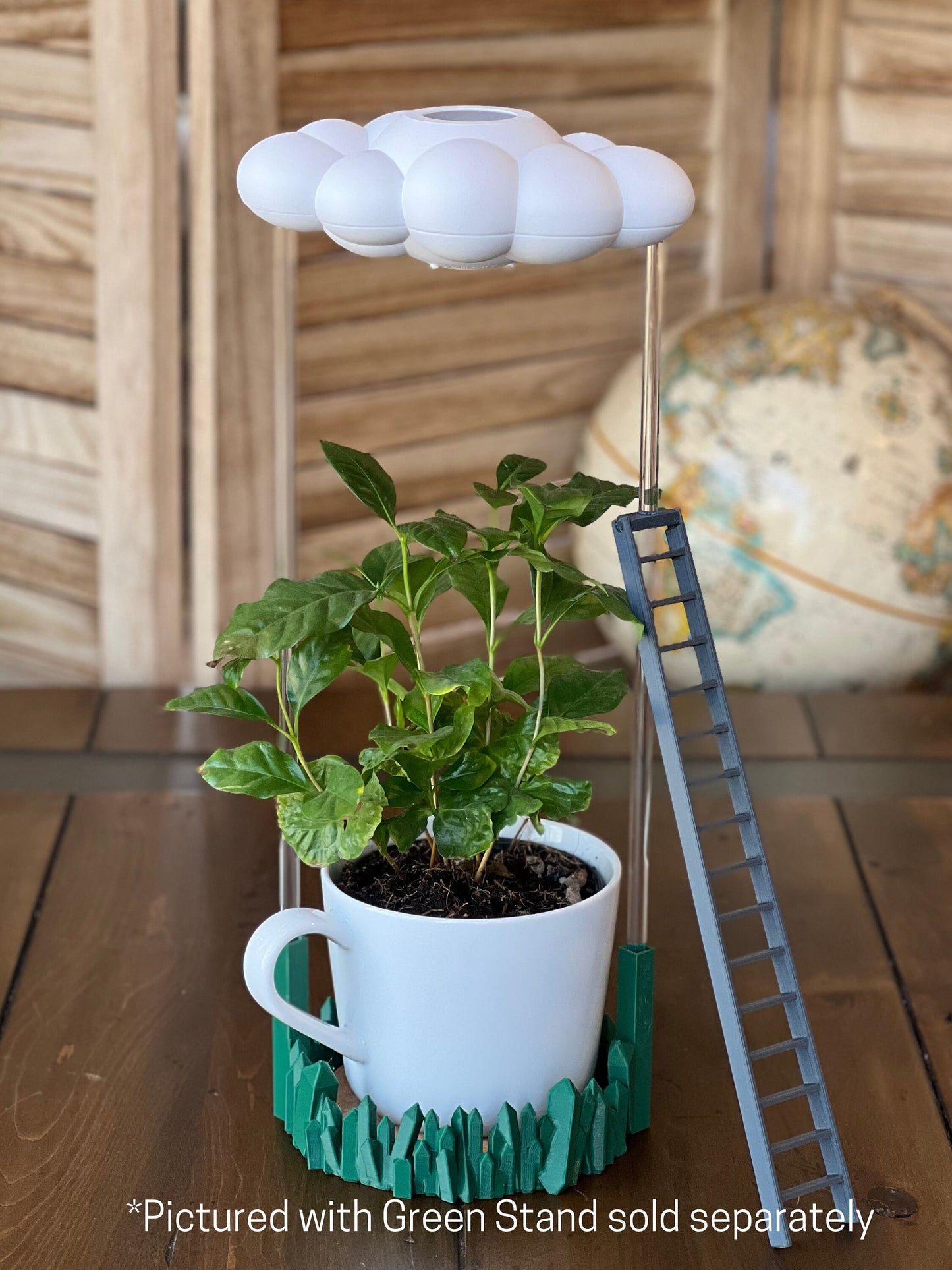 Original Dripping rain cloud by THE CLOUD MAKERS with Ladder