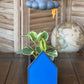 Stormy dripping rain cloud by THE CLOUD MAKERS with lightning bolt charm in blue house planter