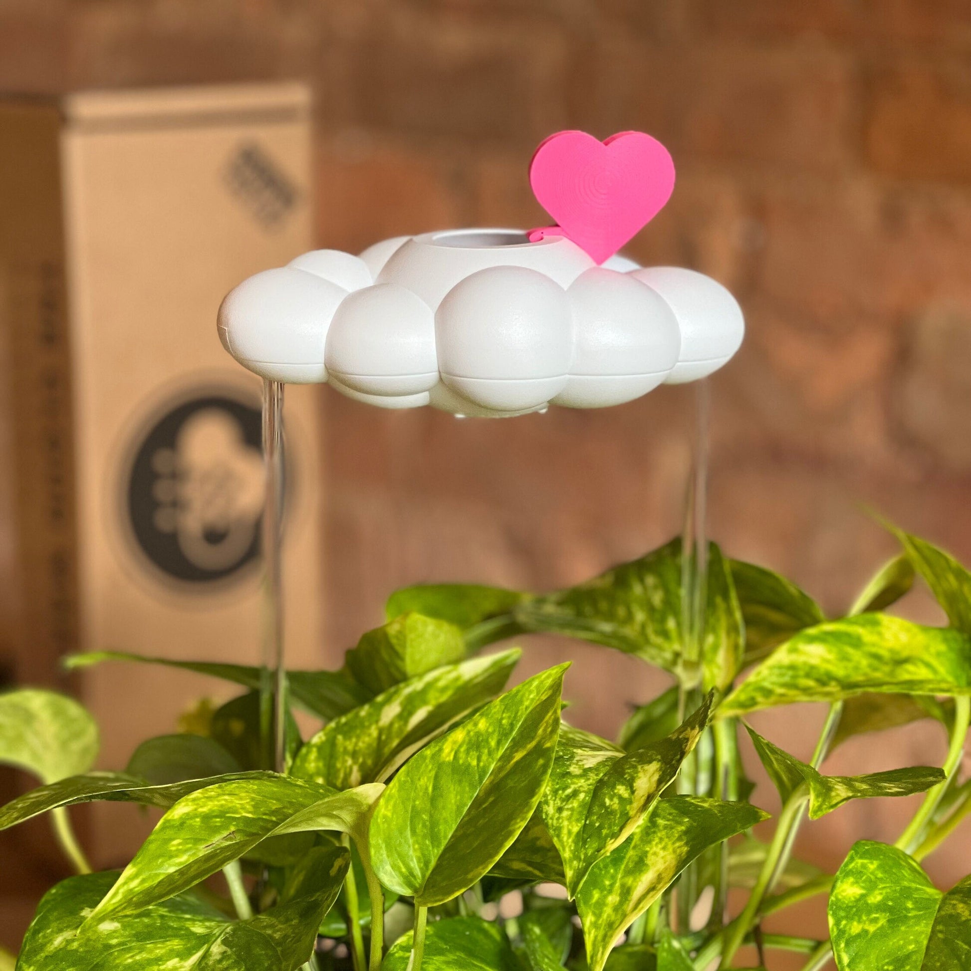 Original Dripping Rain Cloud with Pink Heart