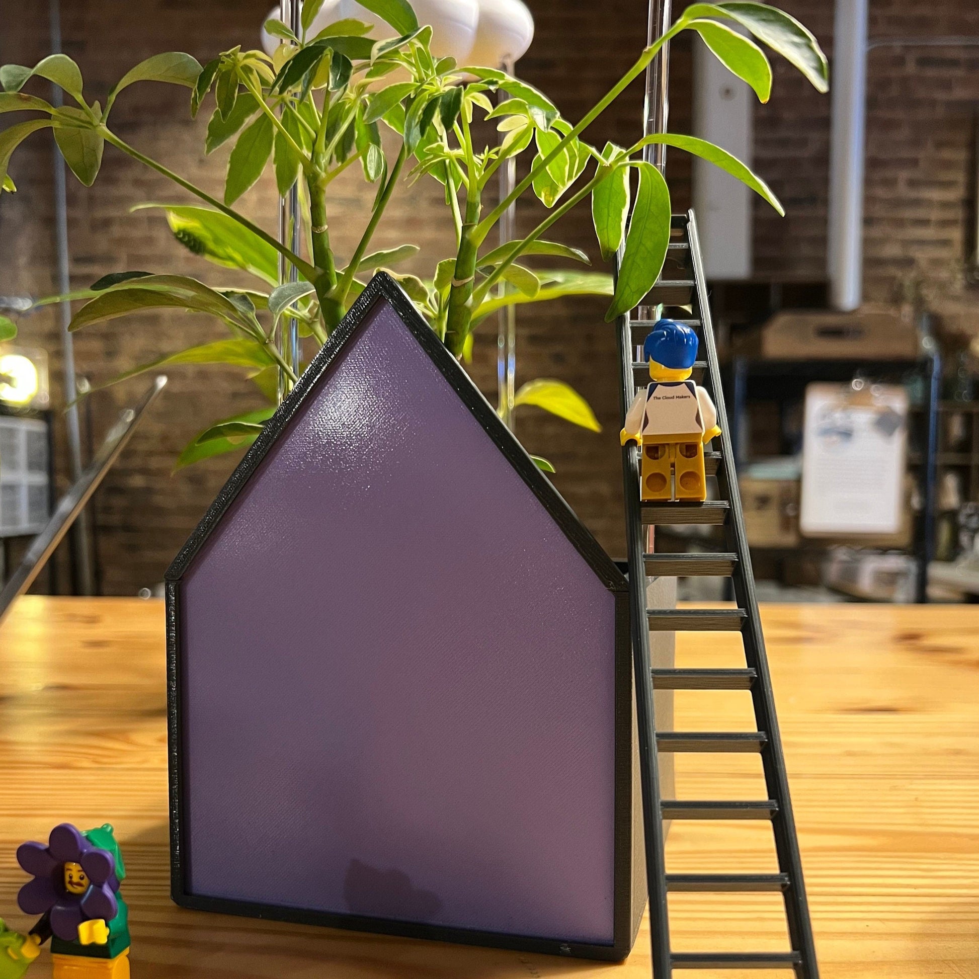 Ladder Charm for dripping rain cloud and purple house planter