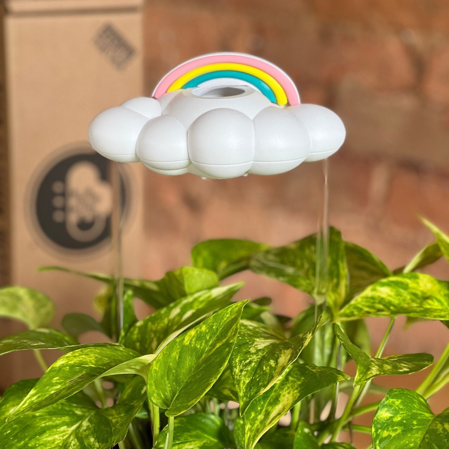 Original Dripping Rain Cloud by THE CLOUD MAKERS with Pastel Rainbow Charm