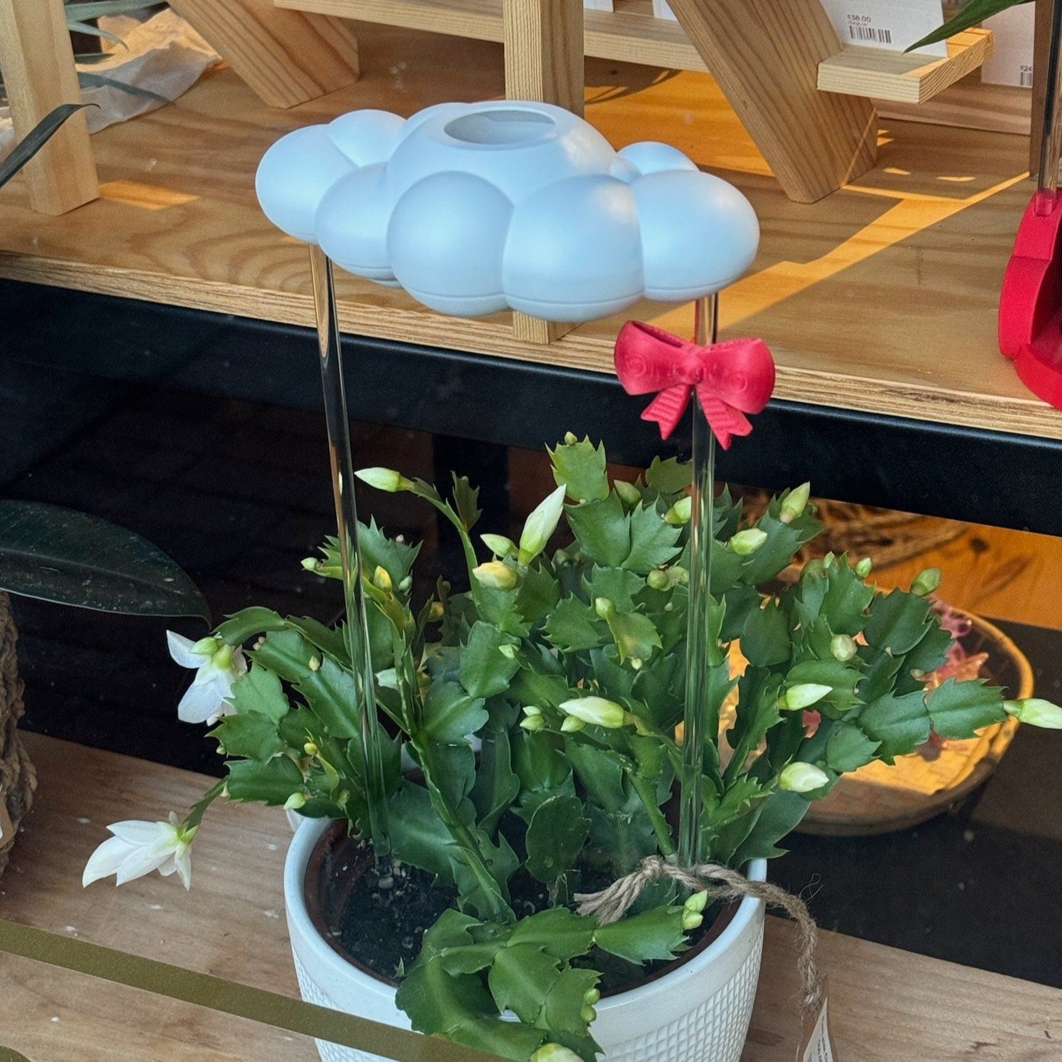 3D printed Bow Charm for THE CLOUD MAKERS dripping rain cloud in Christmas Cactus